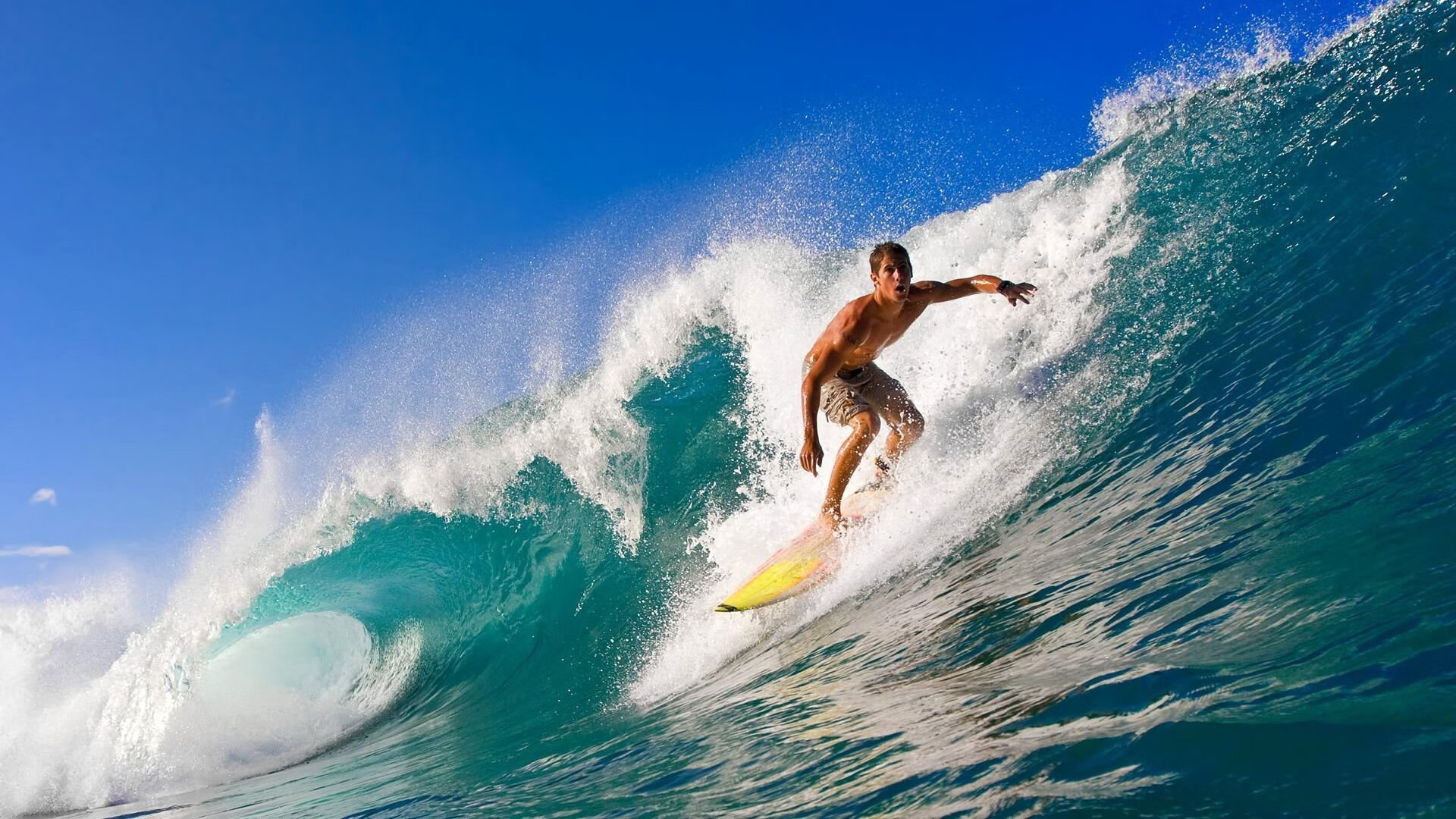 福克斯撕裂洛城防线，当小狐狸在巨人战场上称王